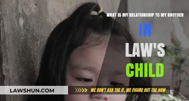 My Brother-in-Law's Child: What's Our Relationship?