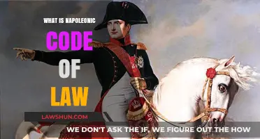 Understanding the Napoleonic Code: France's Revolutionary Legal Legacy Explained