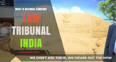 Understanding India's National Company Law Tribunal