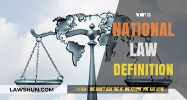 Understanding National Law: Definition, Scope, and Legal Significance Explained