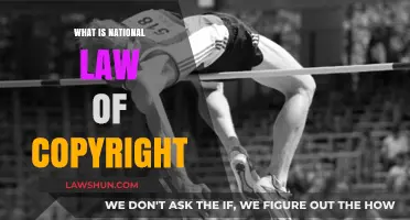 Understanding National Copyright Law: Rights, Protections, and Enforcement Explained