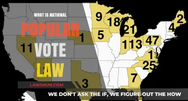 Understanding the National Popular Vote Law: A Comprehensive Guide