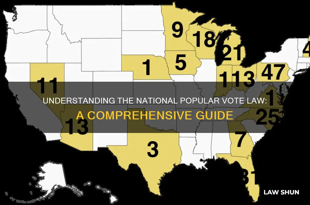 what is national popular vote law