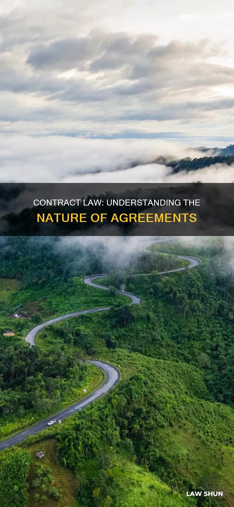 what is nature of contract law