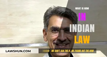Understanding NBW in Indian Law