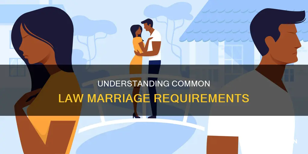 what is necessary for a common law marriage