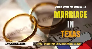 Understanding Texas Common Law Marriage Requirements
