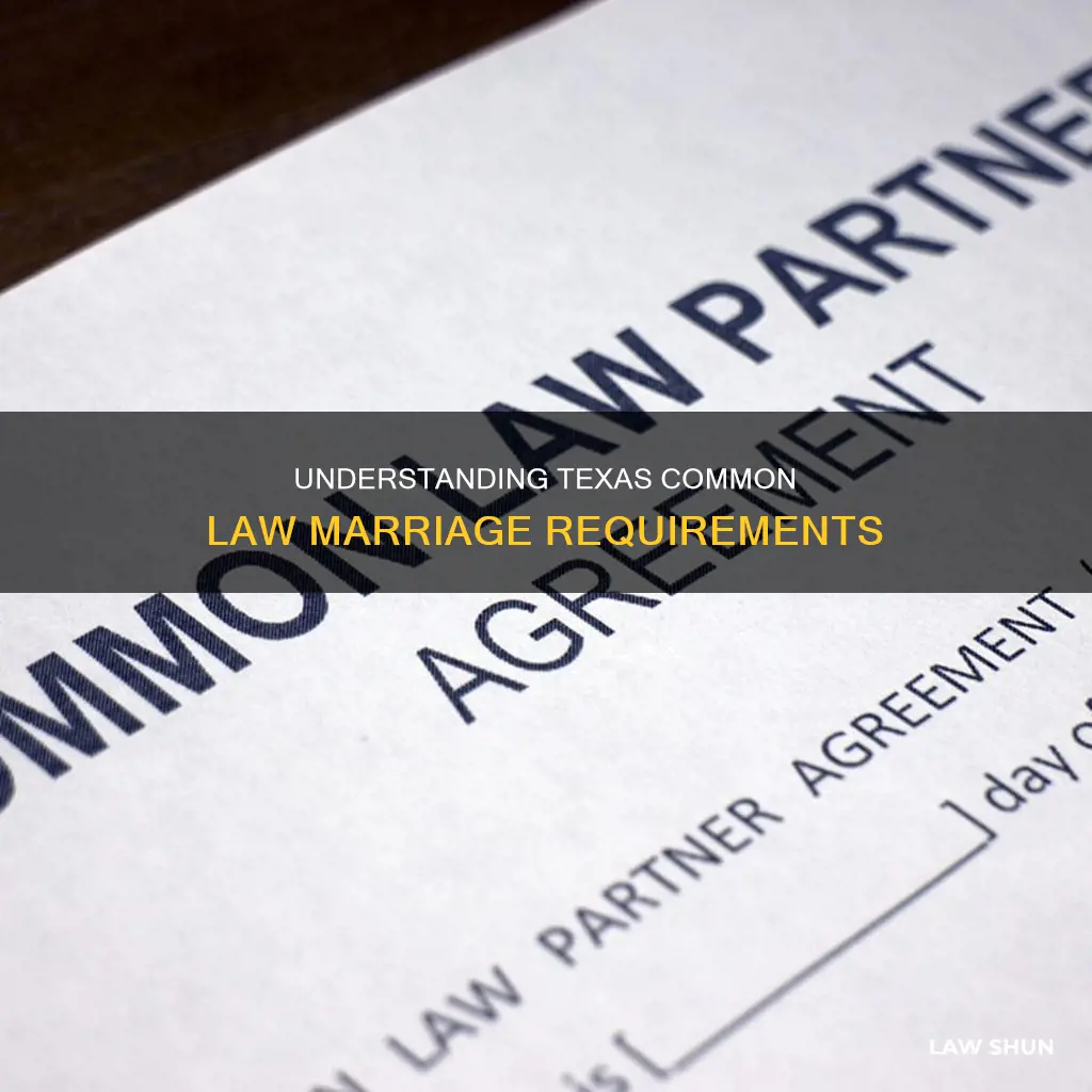 what is needed for common law marriage in texas