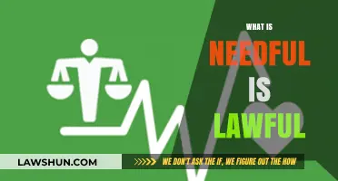 What Is Needful Is Lawful: Balancing Necessity and Legality Ethically