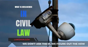 Understanding Negligence in Civil Law: Key Concepts and Legal Implications