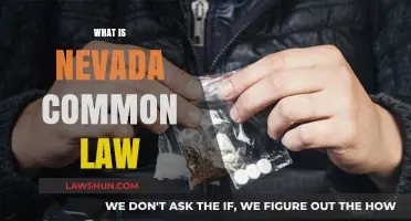 Nevada's Common Law Marriage: Legal Recognition