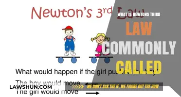 The Equal and Opposite Reaction Law