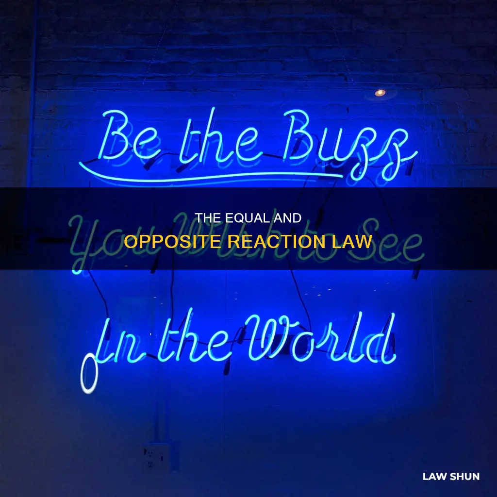 what is newtons third law commonly called