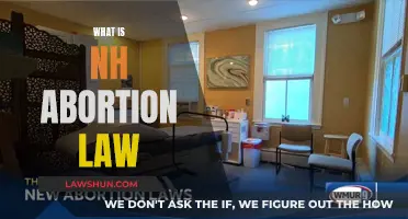 New Hampshire Abortion Law: Understanding the Current Landscape