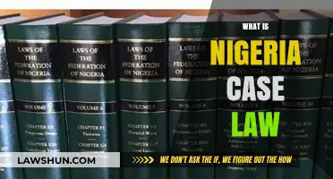 Nigerian Case Law: Understanding the System