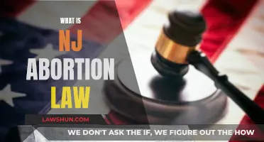 Abortion Laws in New Jersey: Understanding Your Rights