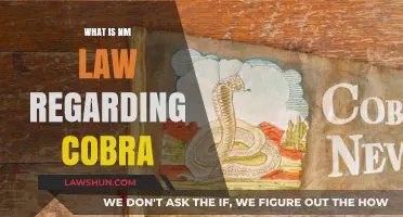 Understanding New Mexico's COBRA Laws: What You Need to Know