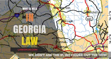 Understanding Nolo Contendere in Georgia Law: Key Insights and Implications