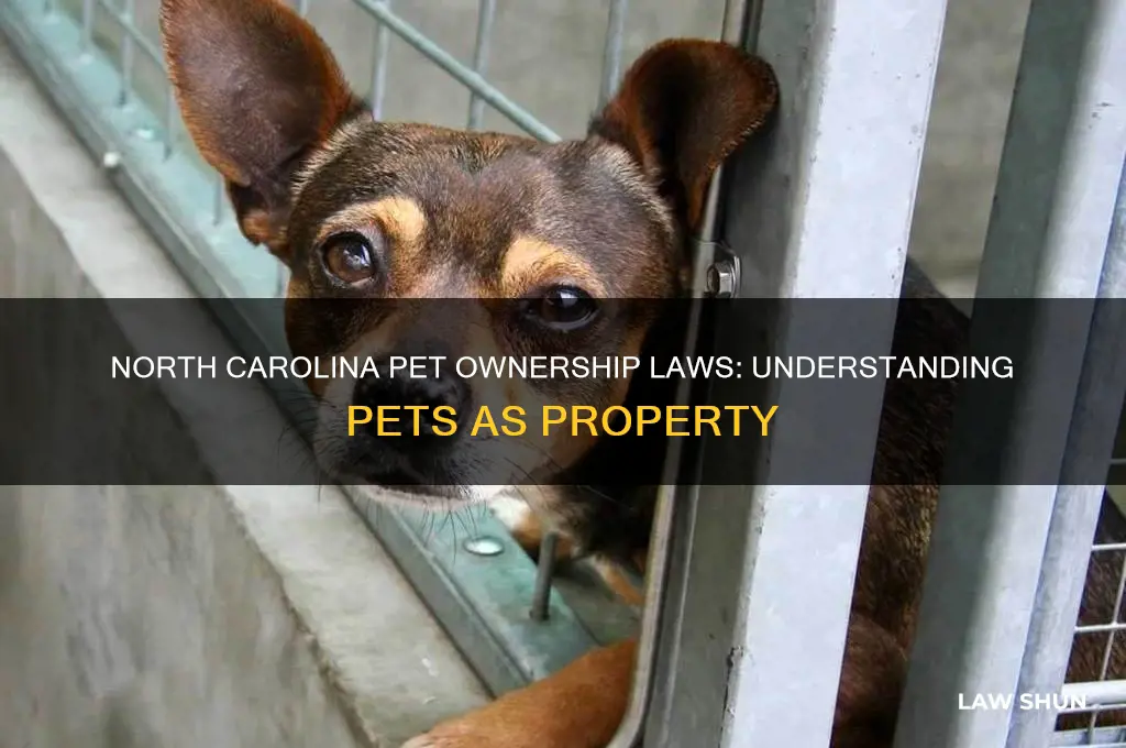 what is north carolina law on pets as property