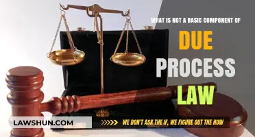Understanding Due Process: What Doesn't Constitute Its Core Components?