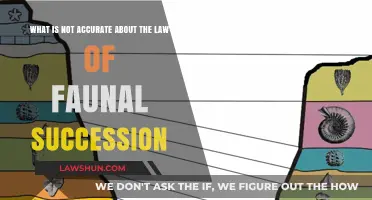 Debunking Myths: The Law of Faunal Succession's Inaccuracies Explained
