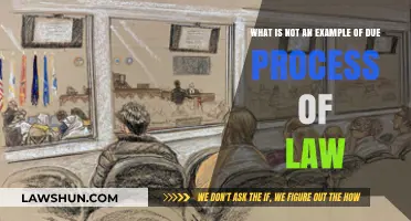 Understanding Due Process: What Doesn't Qualify Under the Law?