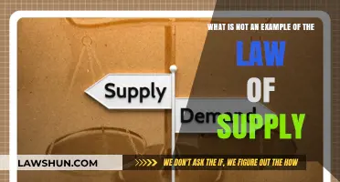Understanding the Law of Supply: What Doesn't Fit the Definition?