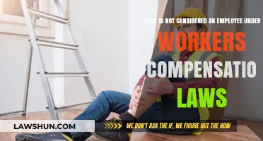 Who's Excluded: Understanding Non-Employee Status in Workers' Compensation Laws
