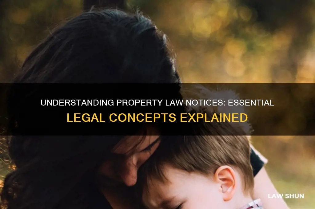 what is notice in property law