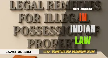 Understanding Nuisance and Its Legal Implications in India