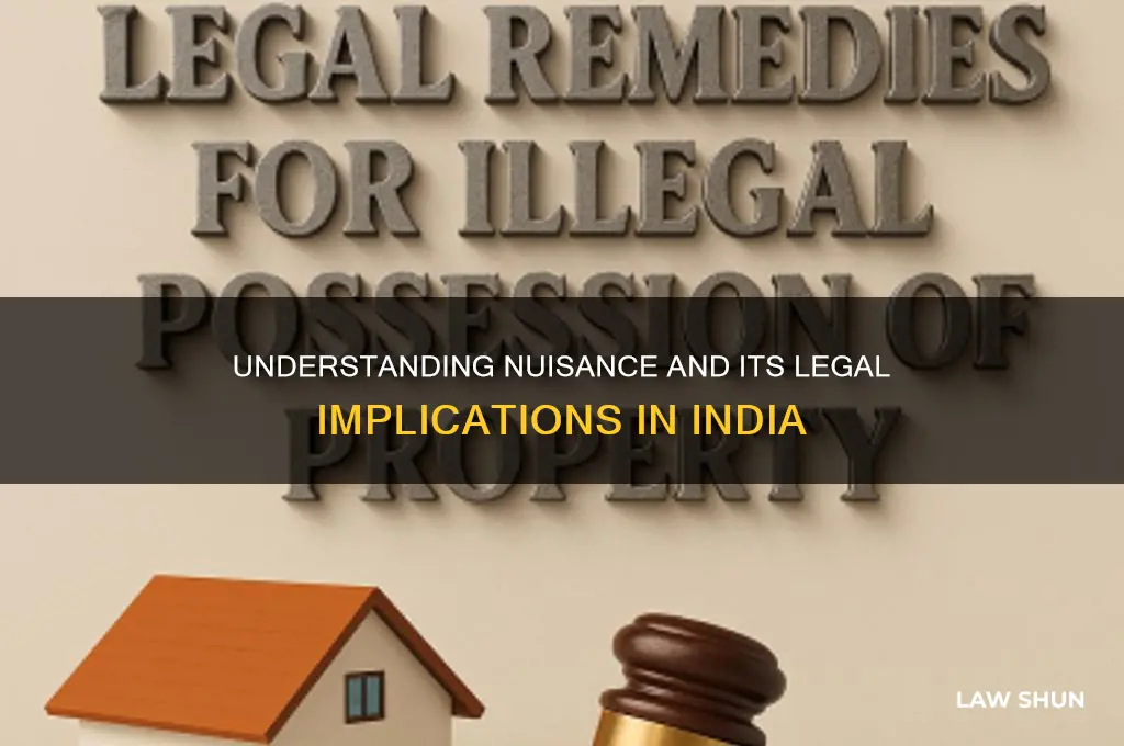 what is nuisance in indian law