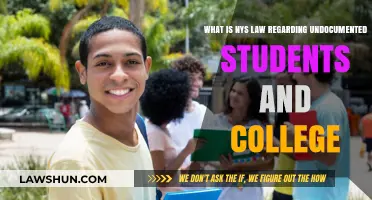Undocumented Students in NY: College Access and Legal Rights Explained