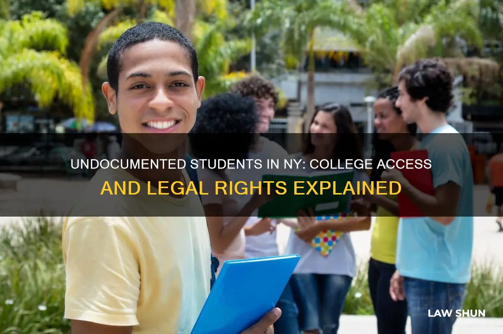 what is nys law regarding undocumented students and college