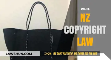 Understanding New Zealand Copyright Law: Rights, Protections, and Compliance