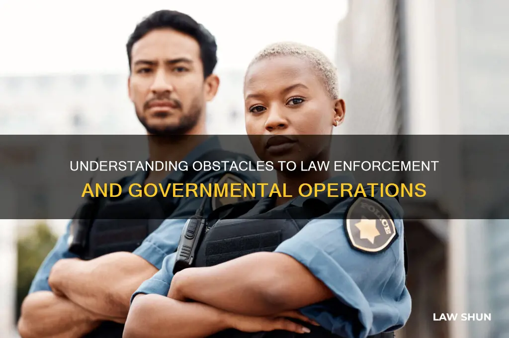 what is obstructing administration of law or other governmental function