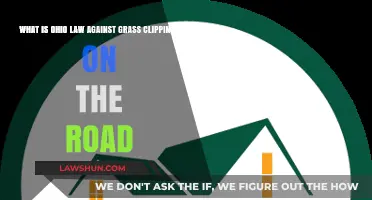 Ohio Law Explained: Grass Clippings on Roads and Penalties
