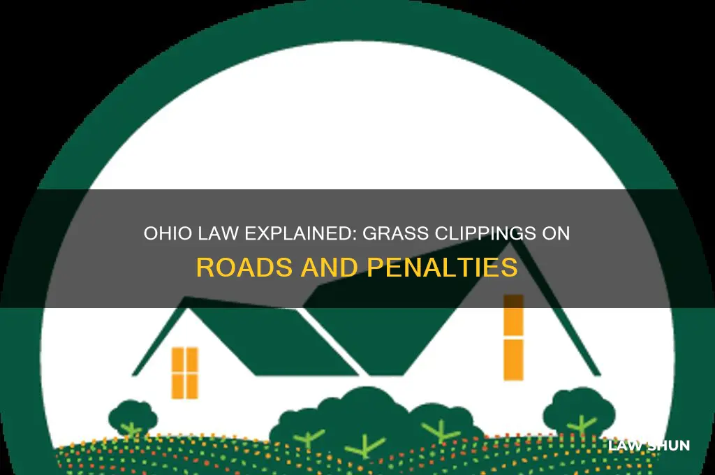 what is ohio law against grass clippings on the road