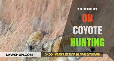 Ohio Coyote Hunting Laws: Regulations, Seasons, and Permits Explained
