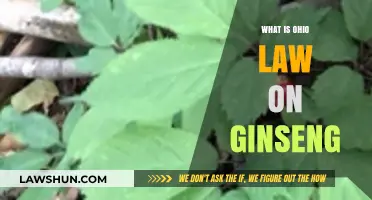 Ohio's Ginseng Laws: Harvesting, Selling, and Legal Requirements Explained