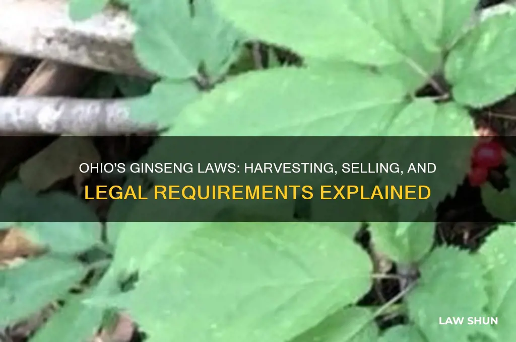 what is ohio law on ginseng