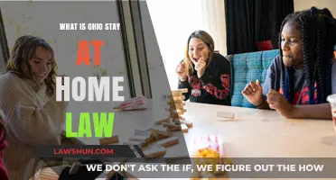 Understanding Ohio's Stay-at-Home Law: What You Need to Know