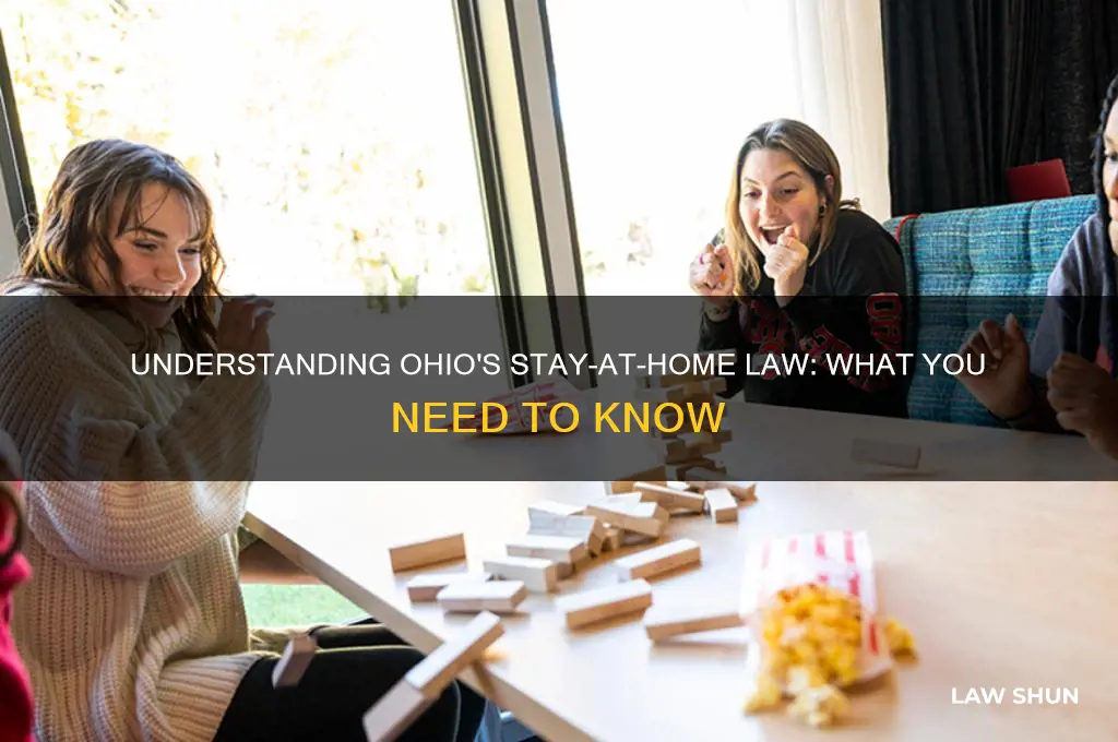 what is ohio stay at home law