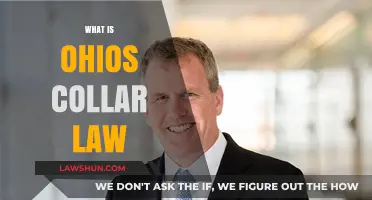 Ohio's Collar Law Explained: Understanding Pet Safety Regulations