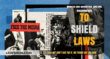 Shield Laws: Balancing Journalist Protection and Legal Transparency Challenges