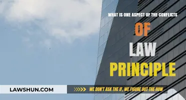 Understanding Conflicts of Law: Key Principles and Their Impact