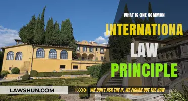 Exploring a Universal International Law Principle