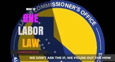 Understanding One Labor Law: Essential Rights and Protections for Workers