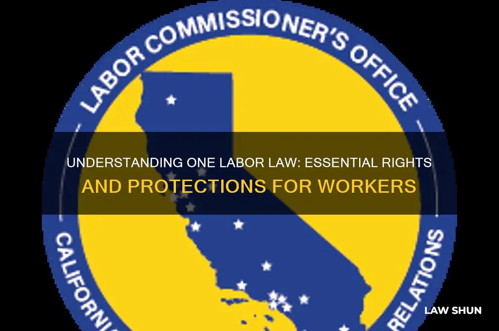 what is one labor law