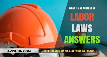 Understanding Labor Laws: Protecting Workers' Rights and Ensuring Fair Employment Practices