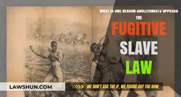 Why Abolitionists Fought Against the Fugitive Slave Law's Injustice